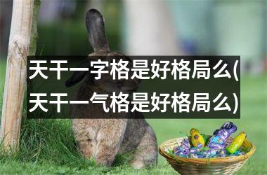 天干一字格是好格局么(天干一气格是好格局么)