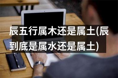 <h3>辰五行属木还是属土(辰到底是属水还是属土)