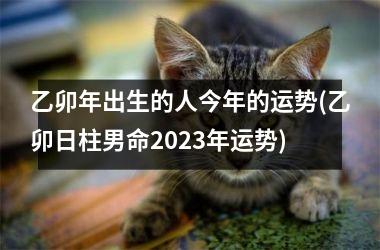 乙卯年出生的人今年的运势(乙卯日柱男命2023年运势)