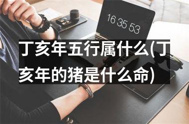 <h3>丁亥年五行属什么(丁亥年的猪是什么命)