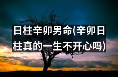 <h3>日柱辛卯男命(辛卯日柱真的一生不开心吗)