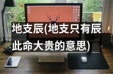 <h3>地支辰(地支只有辰此命大贵的意思)