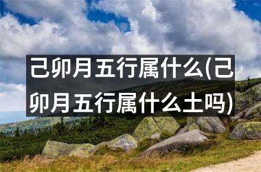 己卯月五行属什么(己卯月五行属什么土吗)