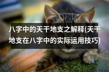 <h3>八字中的天干地支之解释(天干地支在八字中的实际运用技巧)