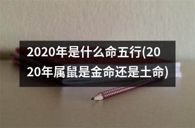 <h3>2025年是什么命五行(2025年属鼠是金命还是土命)