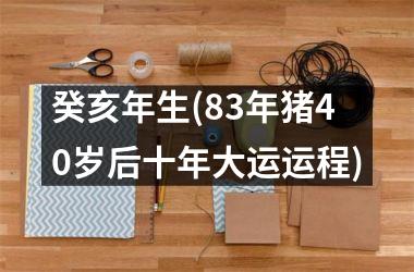 癸亥年生(83年猪40岁后十年大运运程)
