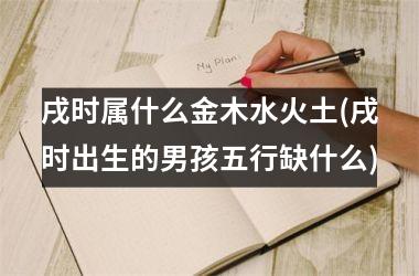 <h3>戌时属什么金木水火土(戌时出生的男孩五行缺什么)
