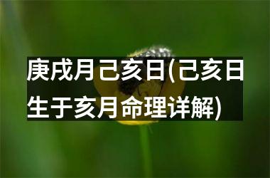 <h3>庚戌月己亥日(己亥日生于亥月命理详解)