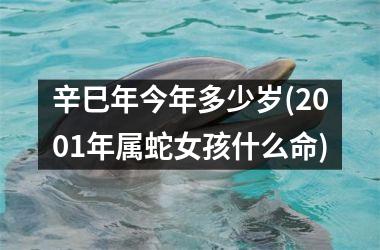 <h3>辛巳年今年多少岁(2001年属蛇女孩什么命)