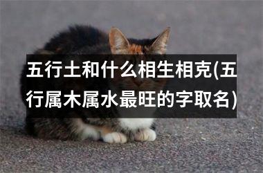 <h3>五行土和什么相生相克(五行属木属水最旺的字取名)