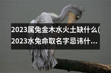 <h3>2025属兔金木水火土缺什么(2025水兔命取名字忌讳什么)