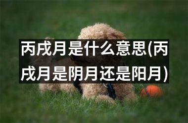 <h3>丙戌月是什么意思(丙戌月是阴月还是阳月)