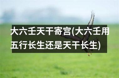 大六壬天干寄宫(大六壬用五行长生还是天干长生)