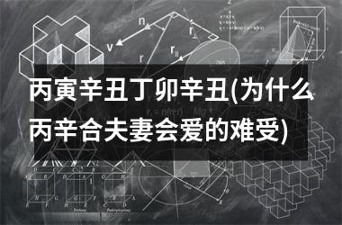 <h3>丙寅辛丑丁卯辛丑(为什么丙辛合夫妻会爱的难受)