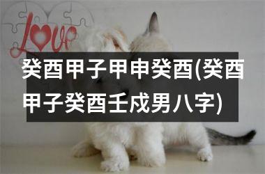 <h3>癸酉甲子甲申癸酉(癸酉甲子癸酉壬戍男八字)