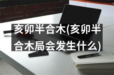 <h3>亥卯半合木(亥卯半合木局会发生什么)
