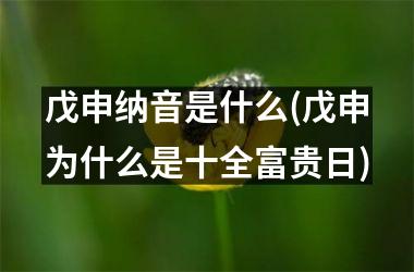 <h3>戊申纳音是什么(戊申为什么是十全富贵日)