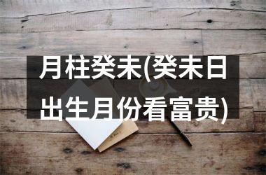<h3>月柱癸未(癸未日出生月份看富贵)
