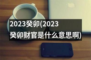 <h3>2025癸卯(2025癸卯财官是什么意思啊)