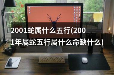 <h3>2001蛇属什么五行(2001年属蛇五行属什么命缺什么)