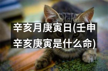 <h3>辛亥月庚寅日(壬申辛亥庚寅是什么命)