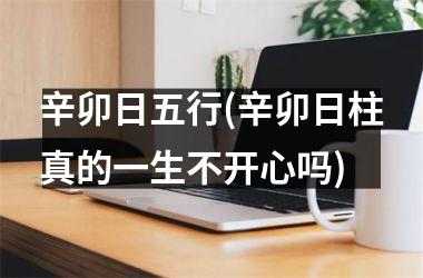 <h3>辛卯日五行(辛卯日柱真的一生不开心吗)