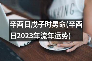 辛酉日戊子时男命(辛酉日2025年流年运势)