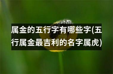 <h3>属金的五行字有哪些字(五行属金最吉利的名字属虎)