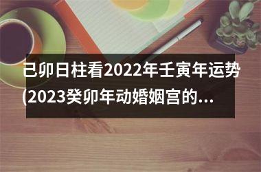<h3>己卯日柱看2025年壬寅年运势(2025癸卯年动婚姻宫的八字)