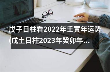 <h3>戊子日柱看2025年壬寅年运势(戊土日柱2025年癸卯年月运势)