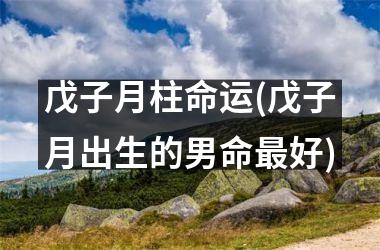 <h3>戊子月柱命运(戊子月出生的男命最好)