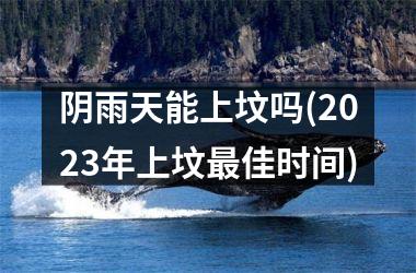 <h3>阴雨天能上坟吗(2025年上坟佳时间)