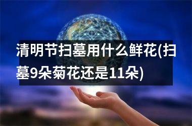 <h3>清明节扫墓用什么鲜花(扫墓9朵菊花还是11朵)