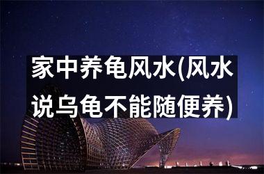 家中养龟风水(风水说乌龟不能随便养)