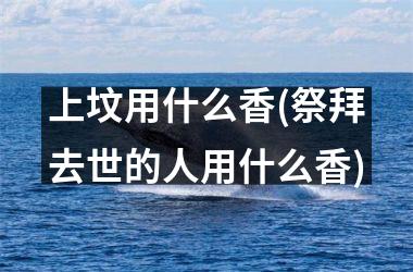 上坟用什么香(祭拜去世的人用什么香)