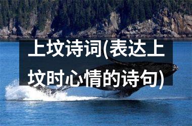 <h3>上坟诗词(表达上坟时心情的诗句)
