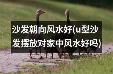 <h3>沙发朝向风水好(u型沙发摆放对家中风水好吗)
