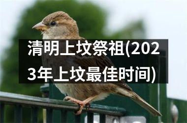 <h3>清明上坟祭祖(2025年上坟最佳时间)