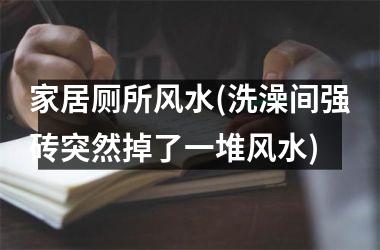 <h3>家居厕所风水(洗澡间强砖突然掉了一堆风水)