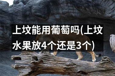 <h3>上坟能用葡萄吗(上坟水果放4个还是3个)