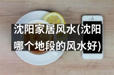<h3>沈阳家居风水(沈阳哪个地段的风水好)