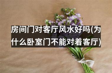 <h3>房间门对客厅风水好吗(为什么卧室门不能对着客厅)
