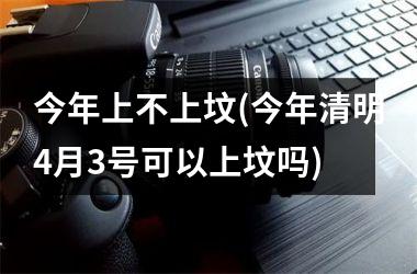 <h3>今年上不上坟(今年清明4月3号可以上坟吗)