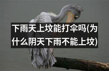 下雨天上坟能打伞吗(为什么阴天下雨不能上坟)