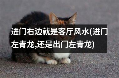 进门右边就是客厅风水(进门左青龙,还是出门左青龙)