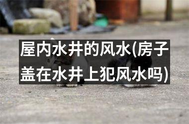 屋内水井的风水(房子盖在水井上犯风水吗)