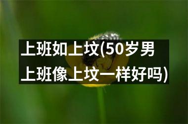 <h3>上班如上坟(50岁男上班像上坟一样好吗)