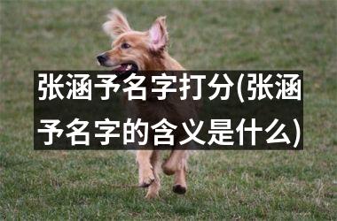 <h3>张涵予名字打分(张涵予名字的含义是什么)