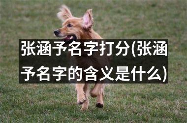 张涵予名字打分(张涵予名字的含义是什么)