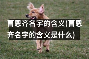 曹恩齐名字的含义(曹恩齐名字的含义是什么)